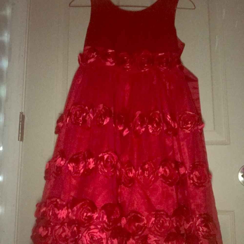 Red Rose Dress